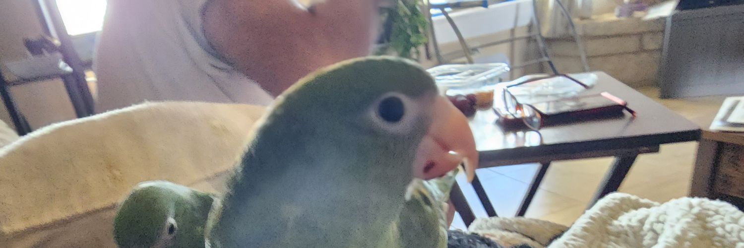 HorkayLu's profile banner image