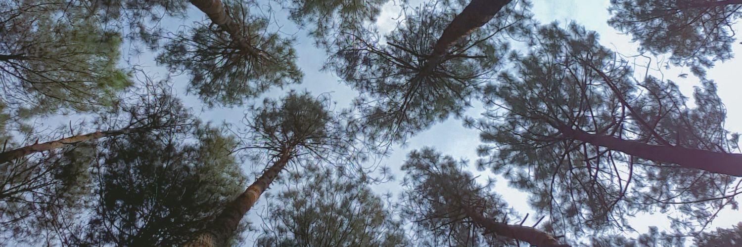 IvanFir_'s profile banner image