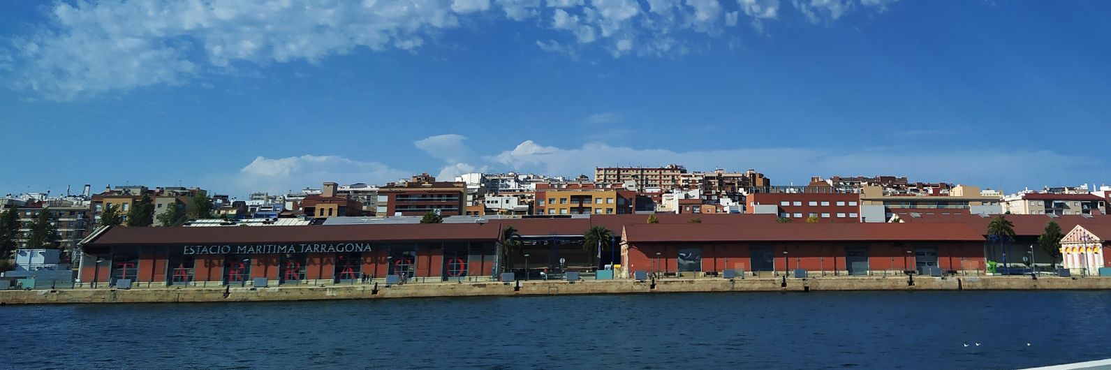 Marta Lascorz banner