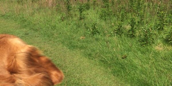 WheresBear's profile banner image