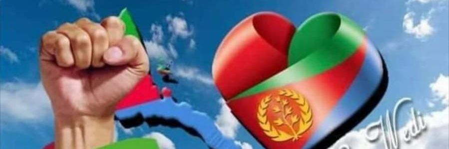 MedhinAraya's profile banner image
