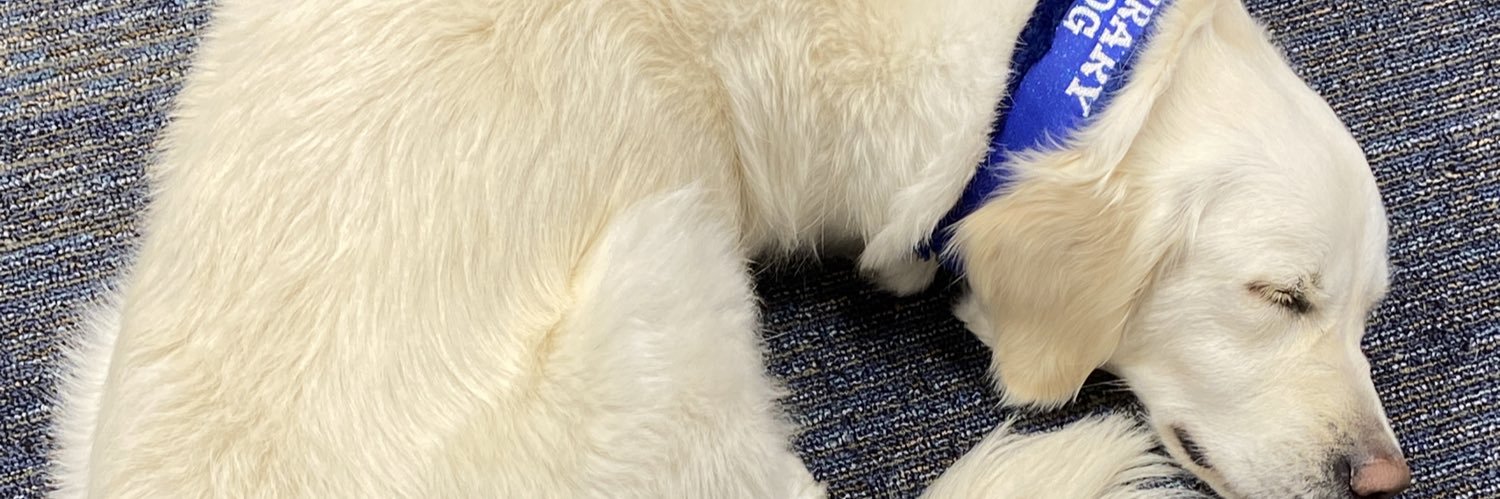 The Copeland Library banner