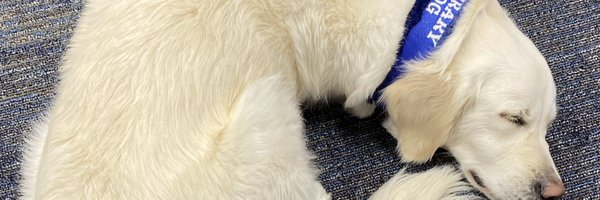 CopelandReads Profile Banner