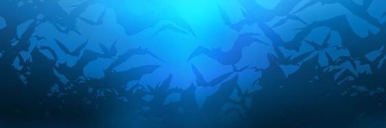 westonm62's profile banner image