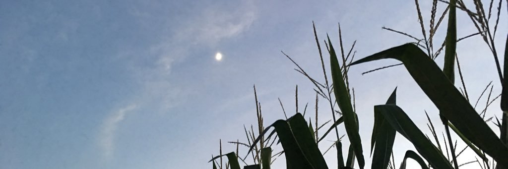 jerrodplotts's profile banner image