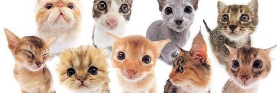 1ucy999's profile banner image