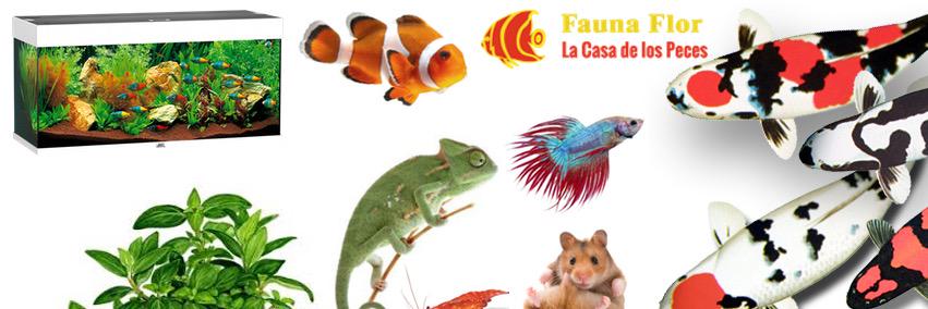 FaunaFlor1969's profile banner image