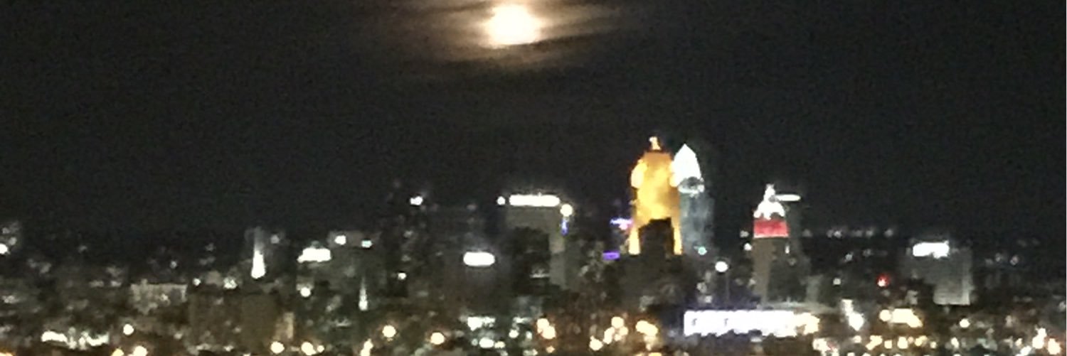 Nicole Teschner banner