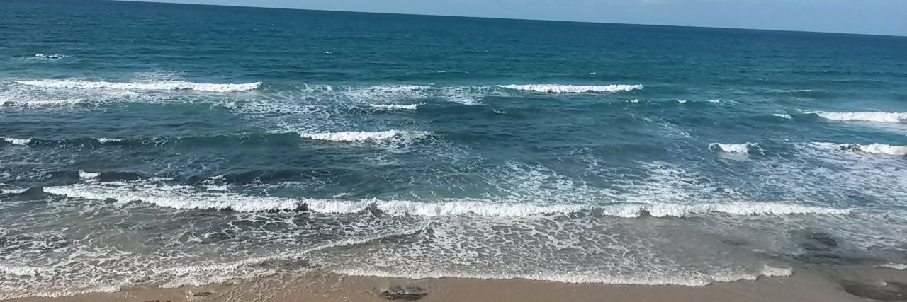 shavit_love's profile banner image