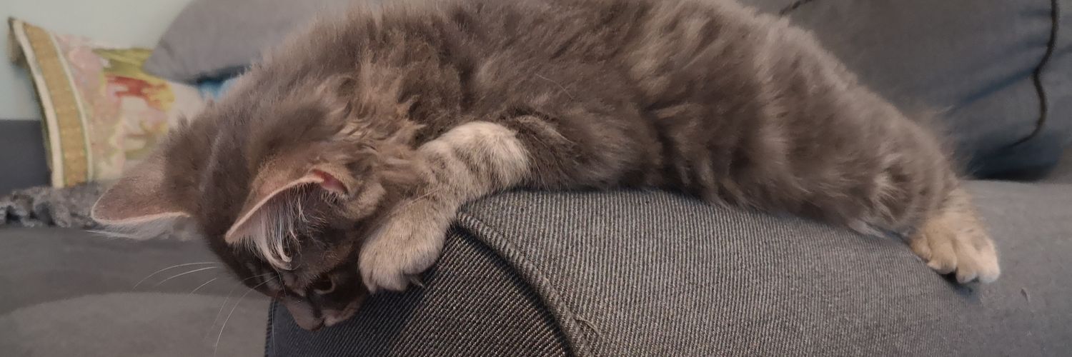 SysterCatrin's profile banner image