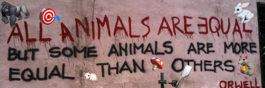 Adam Rich 🦍 banner