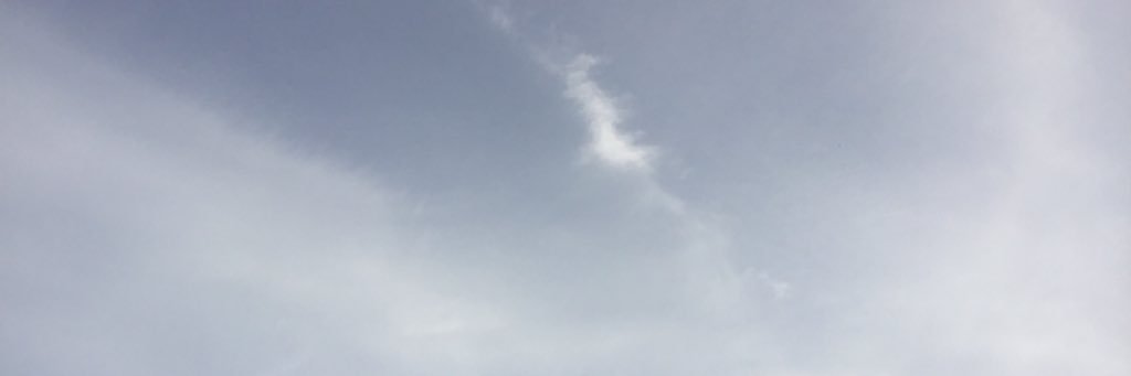 Lina alsaleh banner