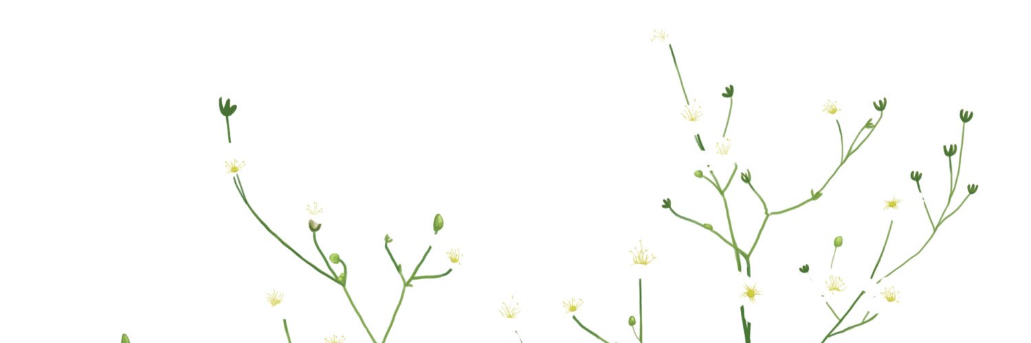 chorporbor's profile banner image
