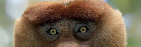 DanielCMerrill's profile banner image