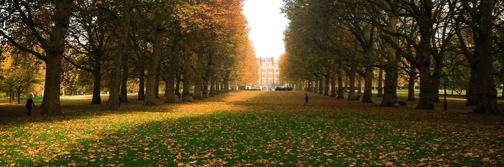 Dr. Sufia Askari banner