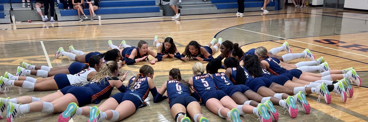 Sachse Volleyball banner