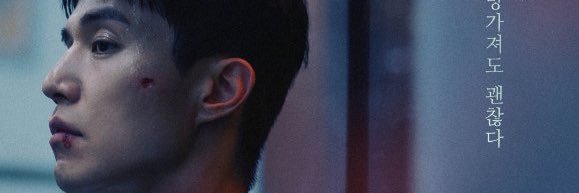야옹🐰🎣 banner
