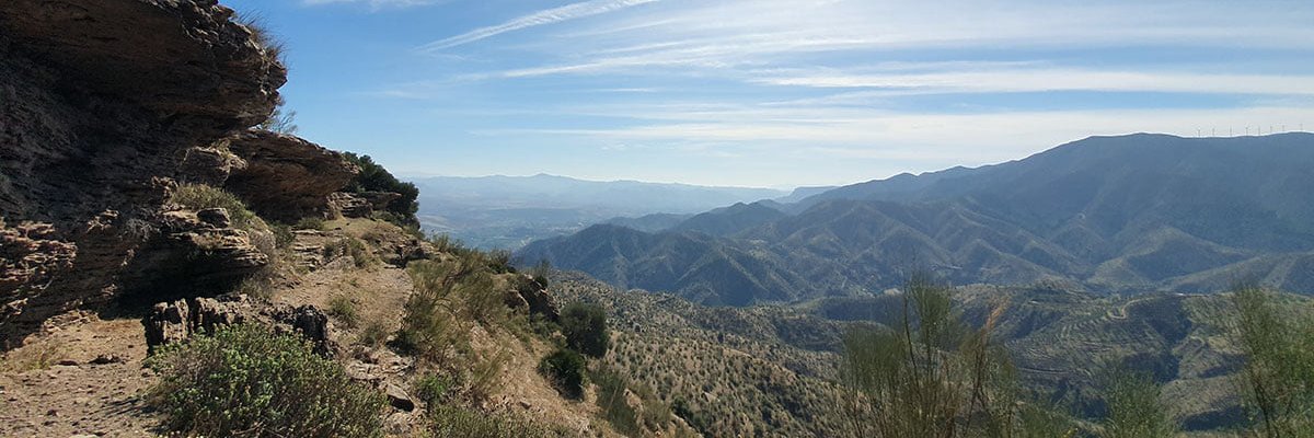 janikekoni's profile banner image