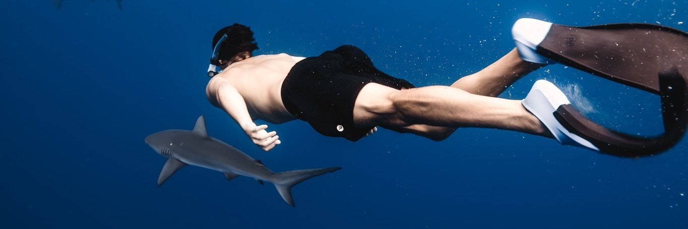 Preston Poag Jr. banner