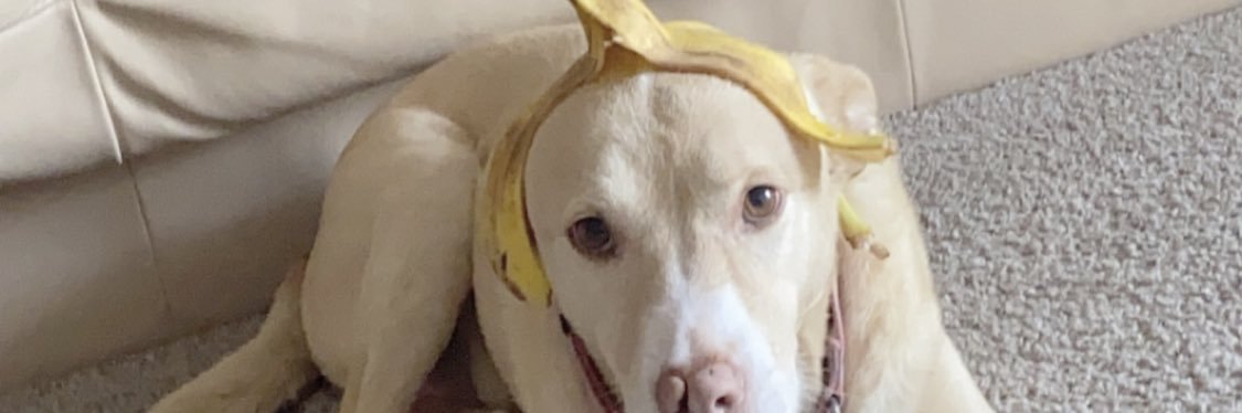 Dillon_Jacksonn's profile banner image