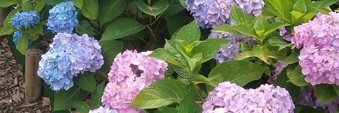 4f345's profile banner image