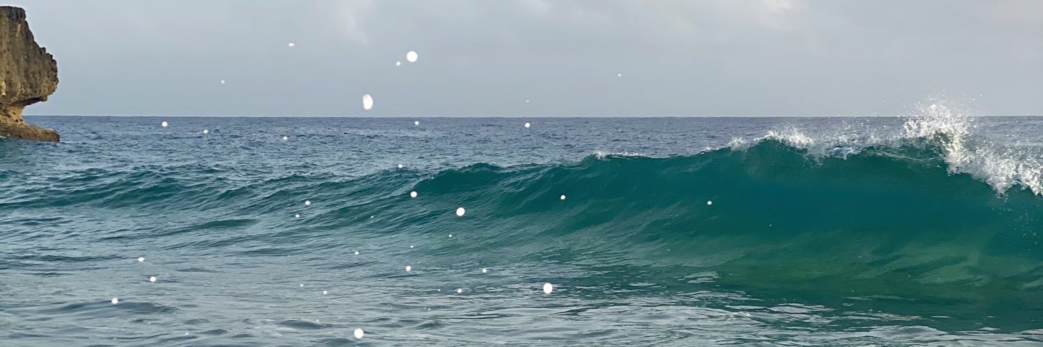 jnavedo1's profile banner image