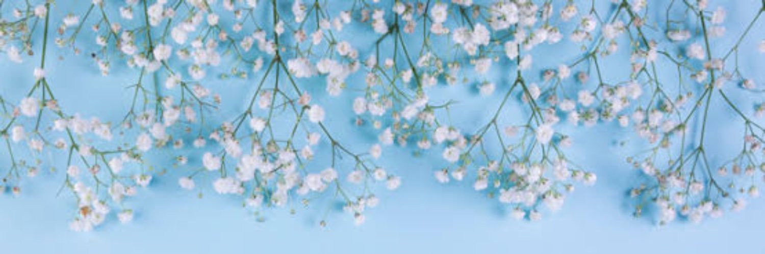 RareFindMica's profile banner image