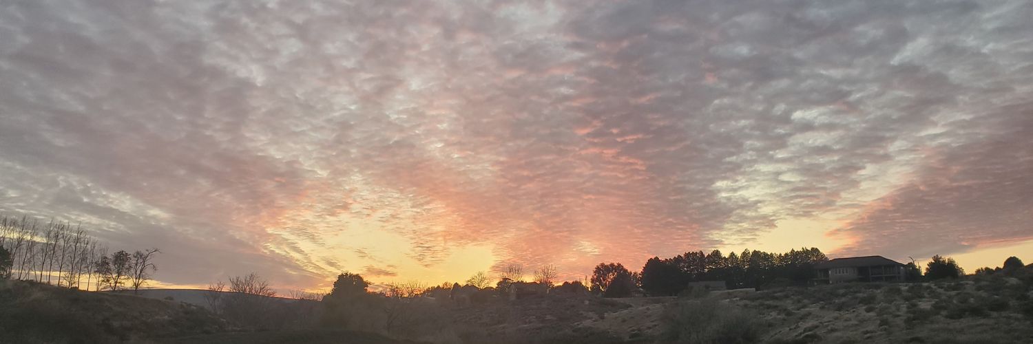 Jay_bird32's profile banner image