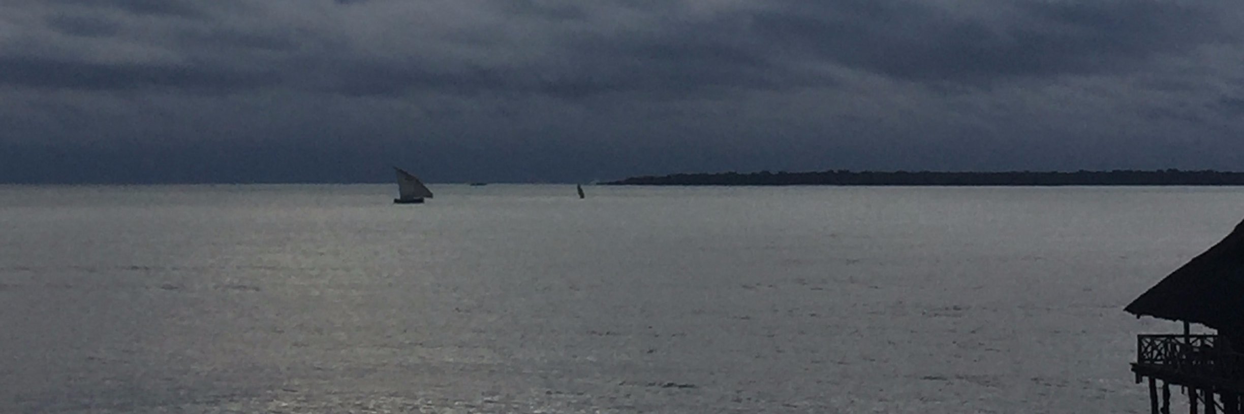 cynthia mccaffrey banner