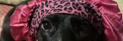 kenkenk0's profile banner image