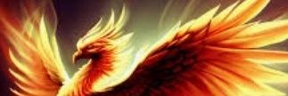 akn_tykn's profile banner image
