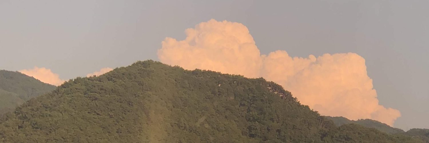 ༄༅ banner