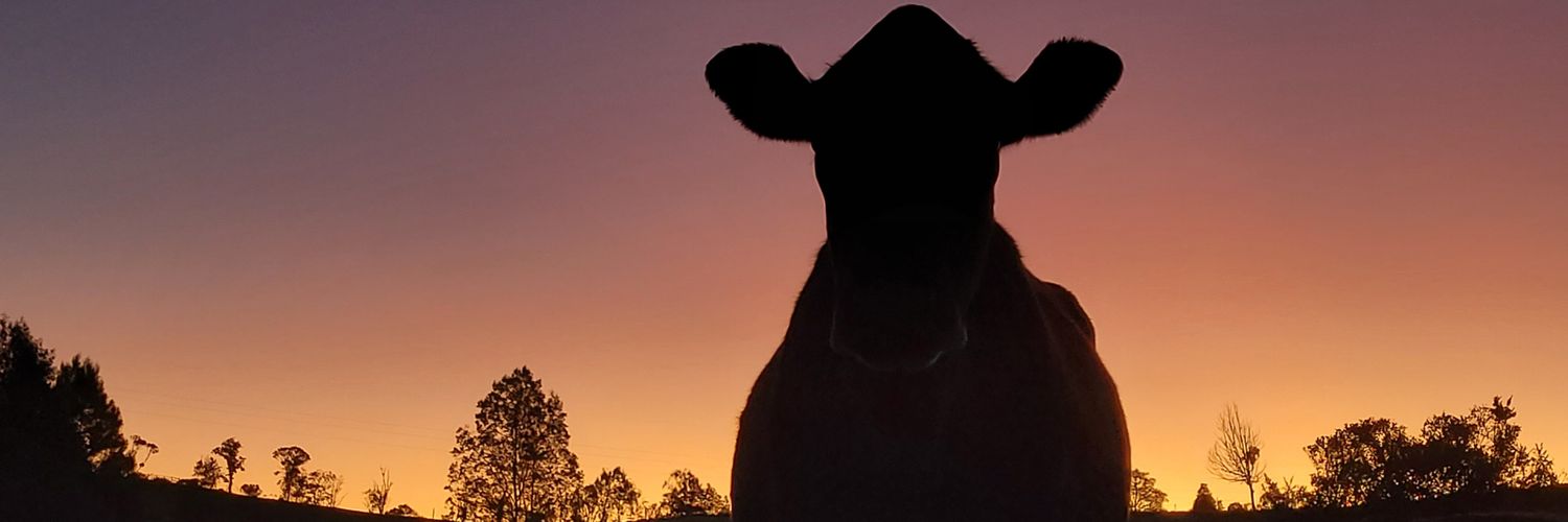 juandcemol21's profile banner image