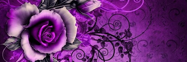 origamiapple's profile banner image