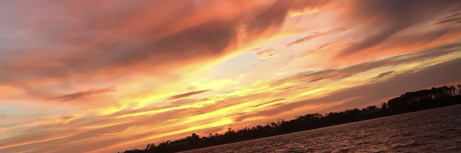 SydneyBell19's profile banner image