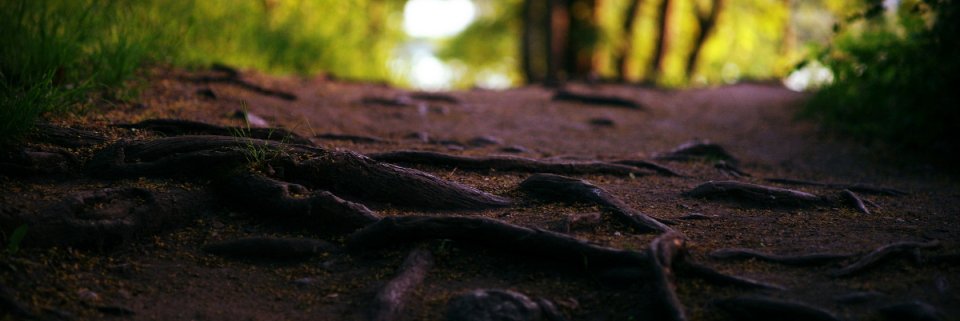 neneusballbe's profile banner image