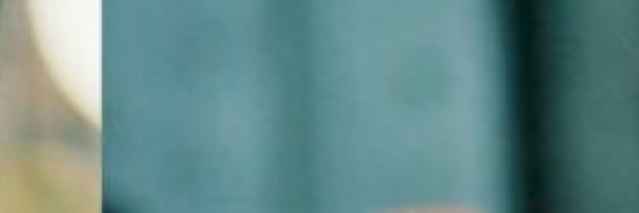 arashik__'s profile banner image