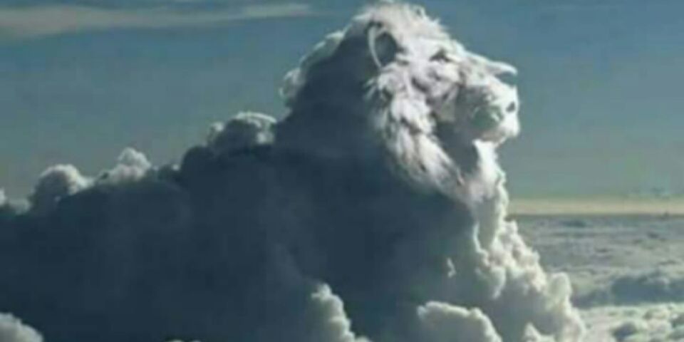 MichaelLeeGA's profile banner image