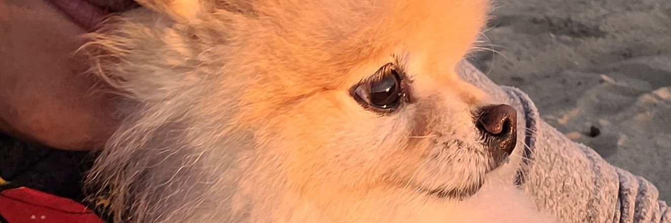 Clomojo's profile banner image