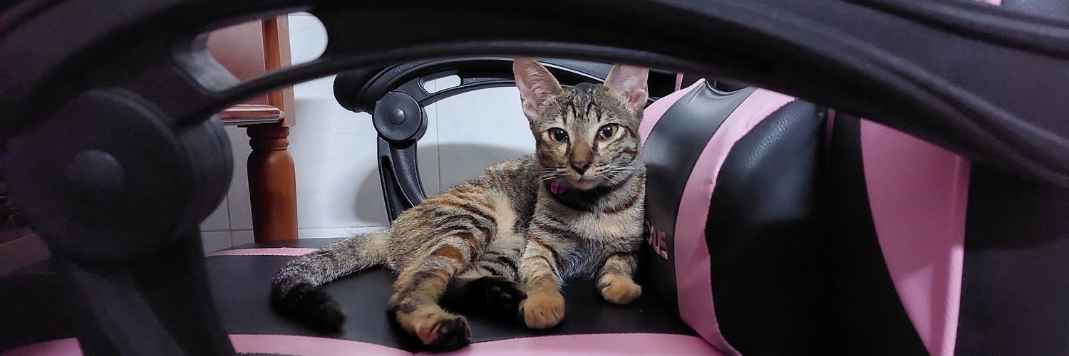 marvserina's profile banner image