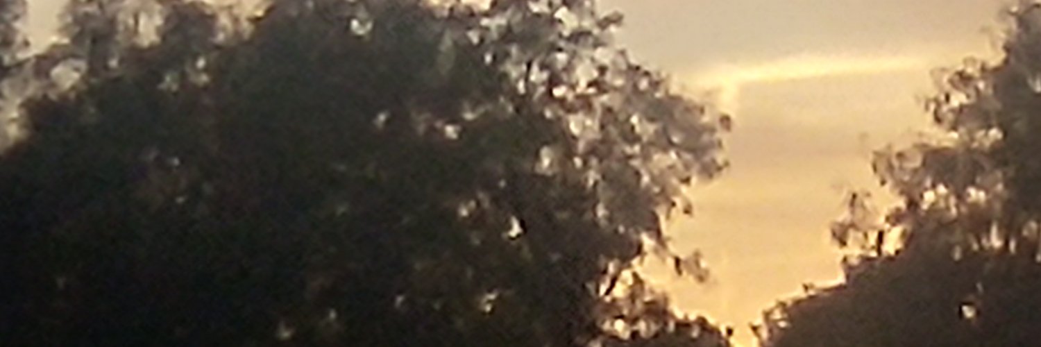 J Flash Rodriguez banner