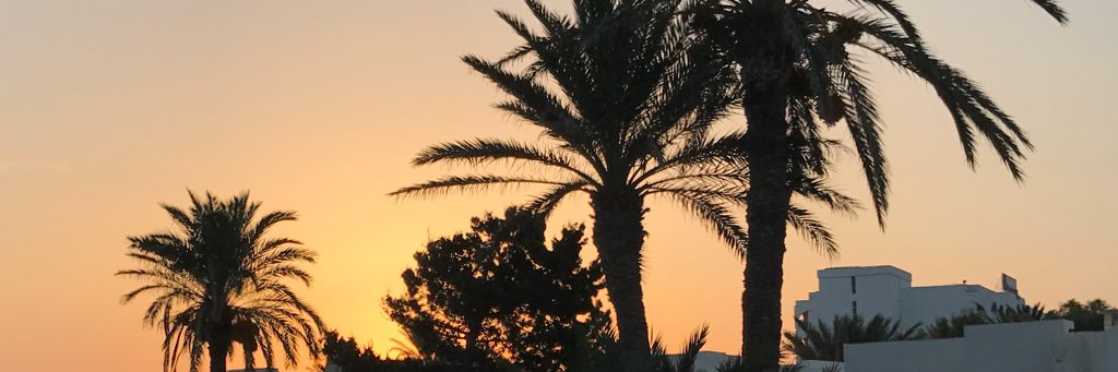 ectnra_'s profile banner image