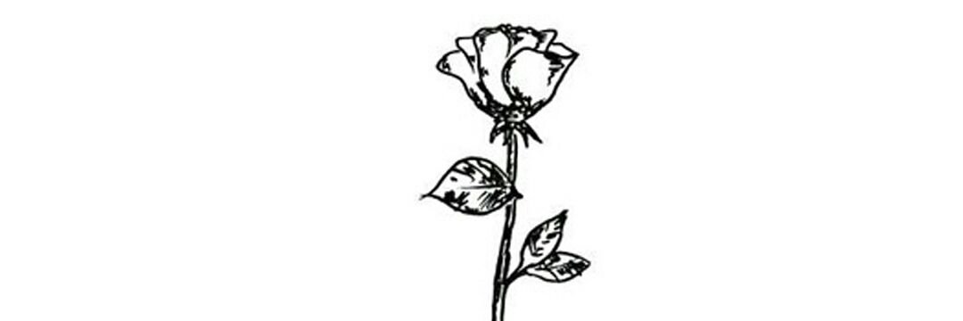 Lara🌺🌹 banner