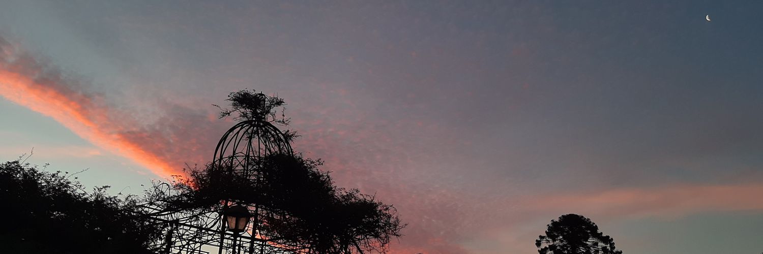 SoooofVigo's profile banner image