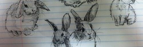 gracewgdr's profile banner image
