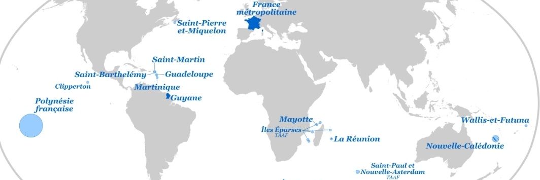 Dominique VIENNE banner