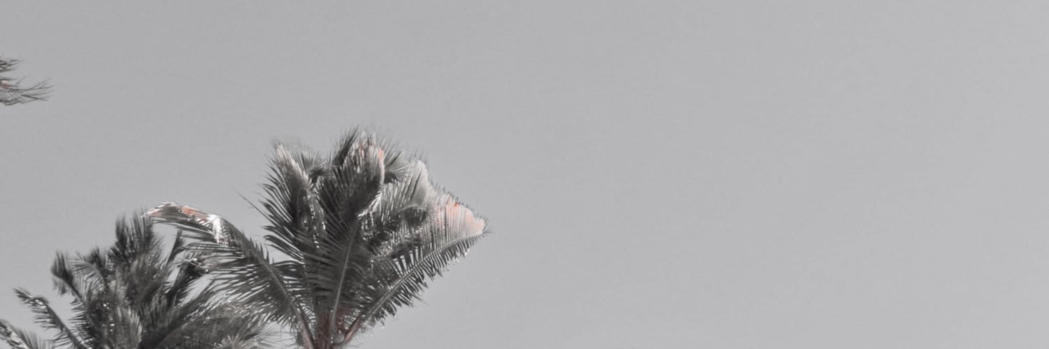 PaulinaGlezA's profile banner image