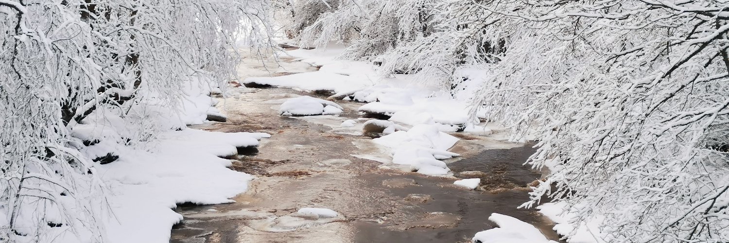 Päivi Sirkiä banner