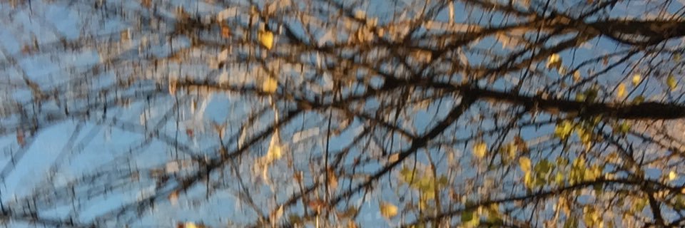 brensusmano's profile banner image