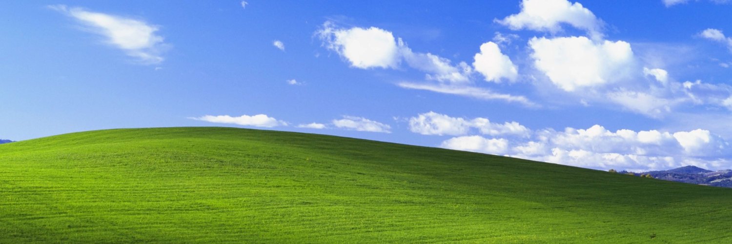 carlielines's profile banner image